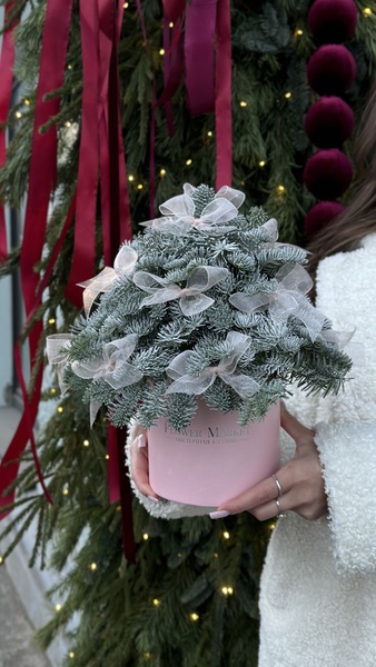 Ёлочка-комплимент из нобилиса